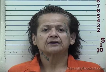 Mugshot of JANIE MARIE CAMACHO
