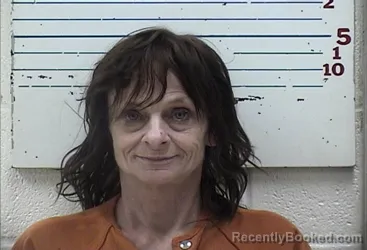 Mugshot of LOU ANNE GILLEY booked in Comanche County, Oklahoma on March 14, 2026