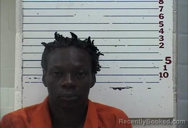 Mugshot of KATRENIA LYNN JOHNSON