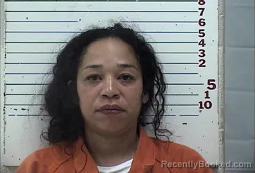 Mugshot of JANETT JOHNSON booked in Comanche County, Oklahoma on March 16, 2026