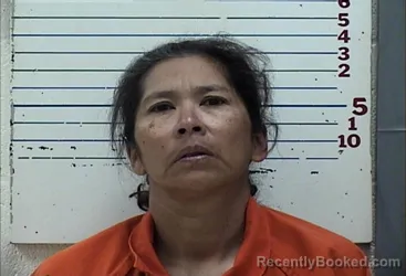 Mugshot of CYNTHIA  JOYCE TOEHAY booked in Comanche County, Oklahoma on May 7, 2026