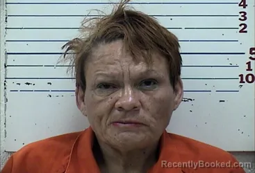 Mugshot of ERIN LYN SUMLER booked in Comanche County, Oklahoma on May 8, 2026