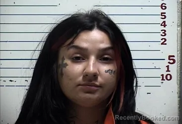 Mugshot of ABBYGALE NICOLE OWENS booked in Comanche County, Oklahoma on May 13, 2026