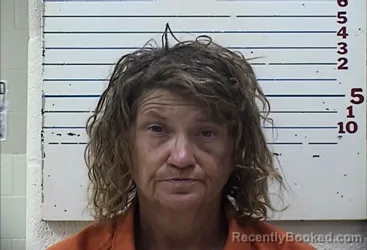 Mugshot of Lora Ann Perkins booked in Comanche County, Oklahoma on July 22, 2026