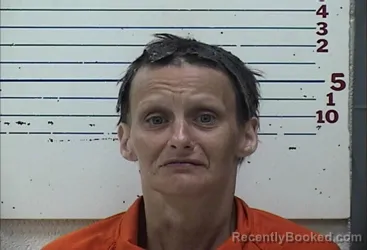 Mugshot of Heather Jean Stevens booked in Comanche County, Oklahoma on July 31, 2026