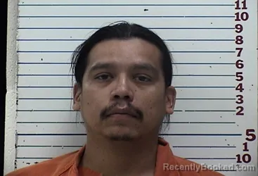Mugshot of Wesley Evans Wolf booked in Comanche County, Oklahoma on August 1, 2026