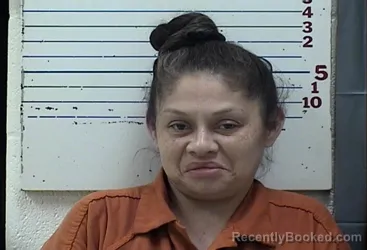 Mugshot of Stephanie Marie Valdez booked in Comanche County, Oklahoma on August 6, 2026