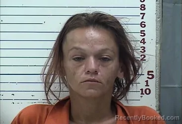 Mugshot of Brittany Louise  Miller booked in Comanche County, Oklahoma on August 13, 2026