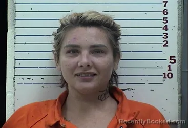 Mugshot of Britnie Michele Wiggins booked in Comanche County, Oklahoma on August 14, 2026
