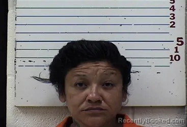 Mugshot of Shannon Rose Delaware booked in Comanche County, Oklahoma on October 25, 2026