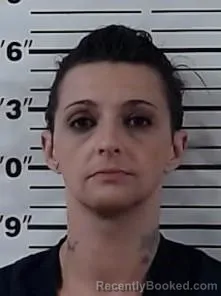 Mugshot of MICHELLE LEE PERRYMAN booked in Craig County, Oklahoma on July 13, 2026