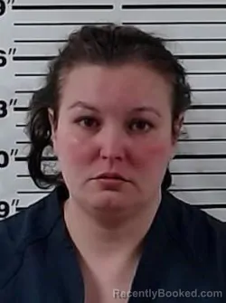 Mugshot of CANDY LEANN BINGHAM