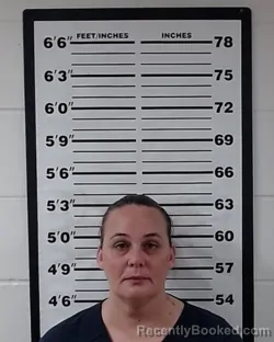 Mugshot of AMANDA CARTER