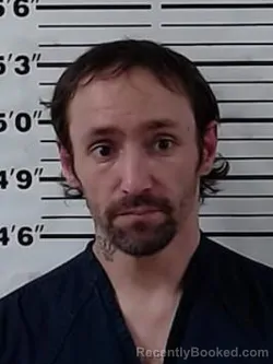 Mugshot of DAVIS PARKER FOUST