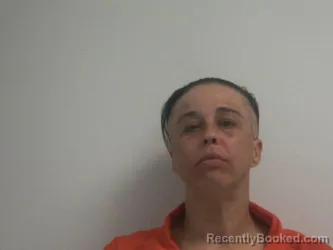 Mugshot of BRITTNEY NICOLE PLUMMER