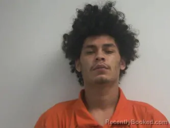 Mugshot of BRANDON LEE PICKETT