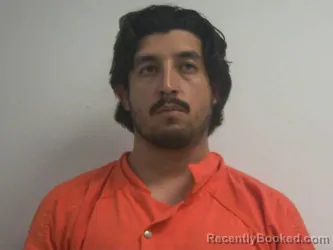 Mugshot of DAVID ALEJANDRO GOMEZ-LOZOYA