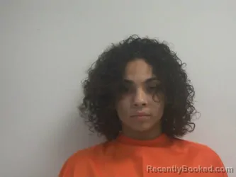 Mugshot of RAVEN MARY LAYWELL