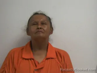Mugshot of Veda Lynn Johnson booked in Creek County, Oklahoma on August 23, 2026