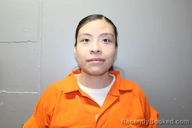 Mugshot of ALYSIA MAE NIETO