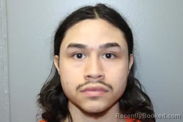 Mugshot of ALEXIS BORJAS-OJEDA