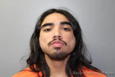 Mugshot of RALPH ELIJAH LEE RAMNARINE