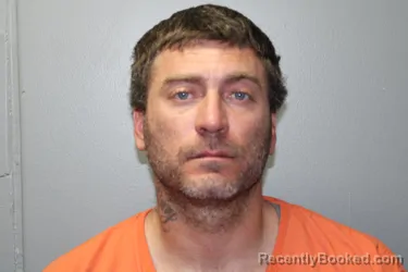 Mugshot of JAMES LOUIS JR. VINSON