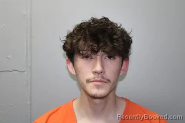 Mugshot of RAUL ELODIO LOZANO