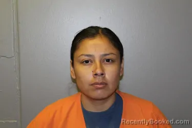 Mugshot of ASHLEY ROSE TURTLE