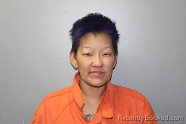 Mugshot of KARA YOON LEA SHOPNITZ booked in Custer County, Oklahoma on March 18, 2026