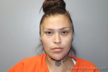 Mugshot of KAYLEE CHRISTINE TURTLE booked in Custer County, Oklahoma on May 27, 2026