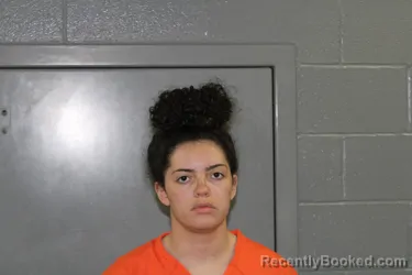 Mugshot of LEXY LIN PERKINS booked in Custer County, Oklahoma on July 22, 2026