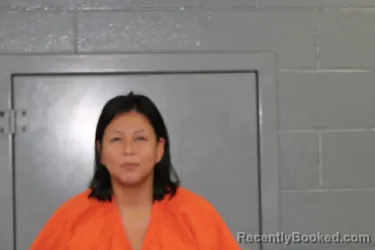 Mugshot of Brooke Joann Addison booked in Custer County, Oklahoma on August 24, 2026