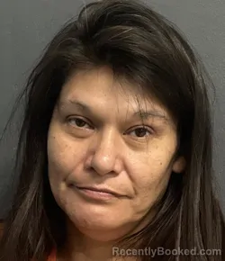 Mugshot of DEANNA BIRD