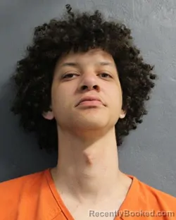 Mugshot of JORDAN JAMES NICOLARDI