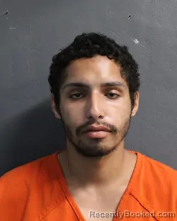Mugshot of RAUL LUIS RAMOS