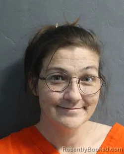 Mugshot of CINDY LYNN HUDSON