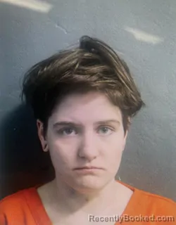 Mugshot of LESLIE G MCMANAMY