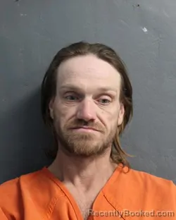 Mugshot of DENNIS EARL PILLEY