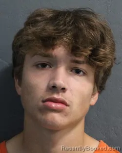 Mugshot of JAYDEN DAUNTE LEE TORRES