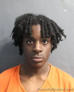 Mugshot of JAMES WASHINGTON