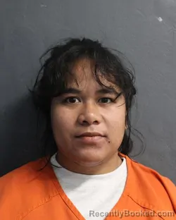 Mugshot of BENA MICHIUO booked in Delaware County, Oklahoma on March 25, 2026