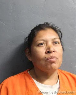 Mugshot of STEPHANIE LOUISE SEARS booked in Delaware County, Oklahoma on April 16, 2026