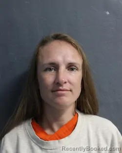 Mugshot of Lanise Yocum booked in Delaware County, Oklahoma on August 28, 2026