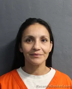 Mugshot of Rita Anne Lara booked in Delaware County, Oklahoma on September 11, 2026