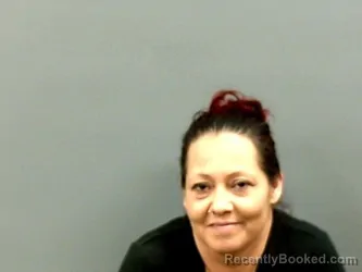 Mugshot of CHRISTI FLANERY booked in Grady County, Oklahoma on April 24, 2026