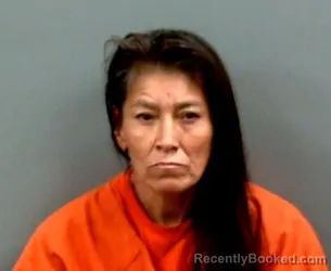 Mugshot of Mary Ann Palmer booked in Grady County, Oklahoma on August 16, 2026