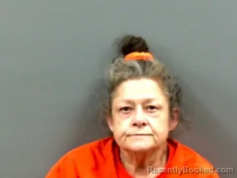 Mugshot of Susan Nicole Johnson booked in Grady County, Oklahoma on September 1, 2026