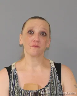 Mugshot of Sallie Lynn Smith booked in Coleman County, Texas on September 2, 2026