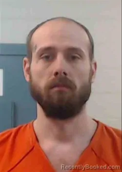 Mugshot of LONE MCCALL WILLIAMS